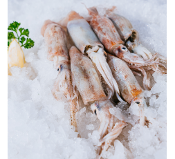 Filets de Merlu - Côté Fish - | Livraison Poisson Frais en Ligne
