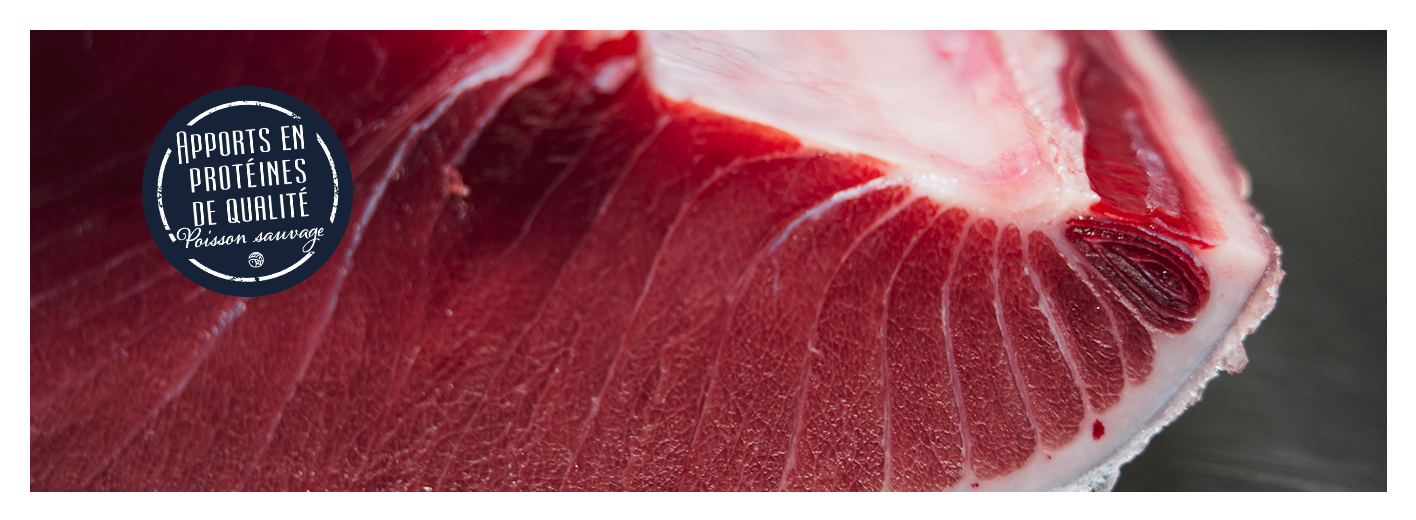 Protéines et thon rouge de Méditerranée